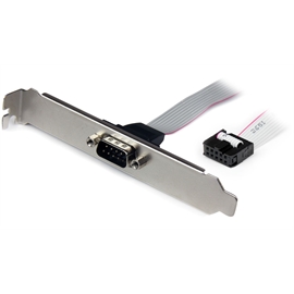 CCBL-0615 | ActForNet