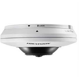 DS-2CD2942F-IS | ActForNet