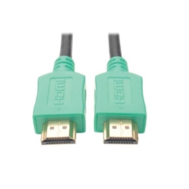 P568-010-GN | ActForNet