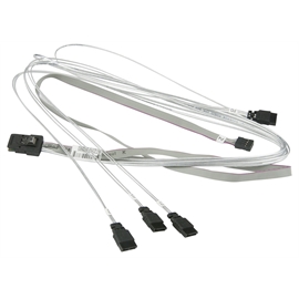 CBL-0237L-01 | ActForNet