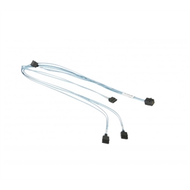 CBL-SAST-0704 | ActForNet