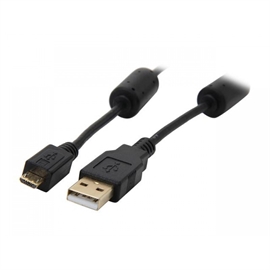 RCAB-11022 | ActForNet